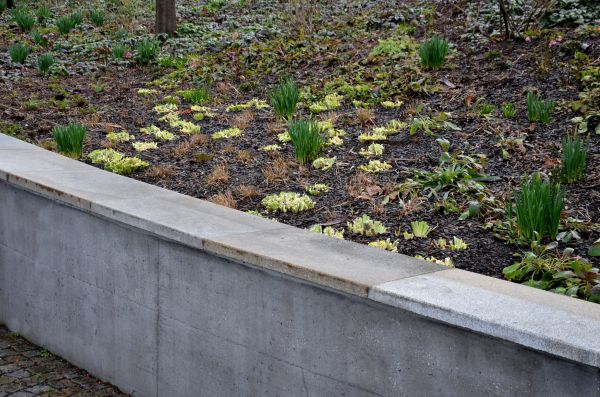 Concrete Wall Construction in Oxnard