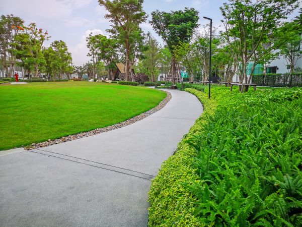 Cement Walkway Service in Oxnard