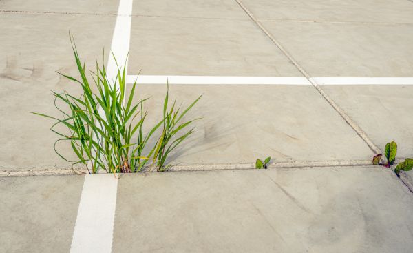 Concrete Parking Installation in Oxnard